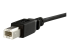 USBPNLBFBM1 - StarTech.com 1 ft Panel Mount USB Cable B to B - Close up