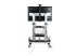 1110C-MOBILE-TV-CART - StarTech.com Rolling TV Cart/Stand On Wheels, Up to 100inch/220lb Screens - Back