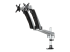 ARMDUAL30 - StarTech.com Desk Mount Dual Monitor Arm - Right-angle